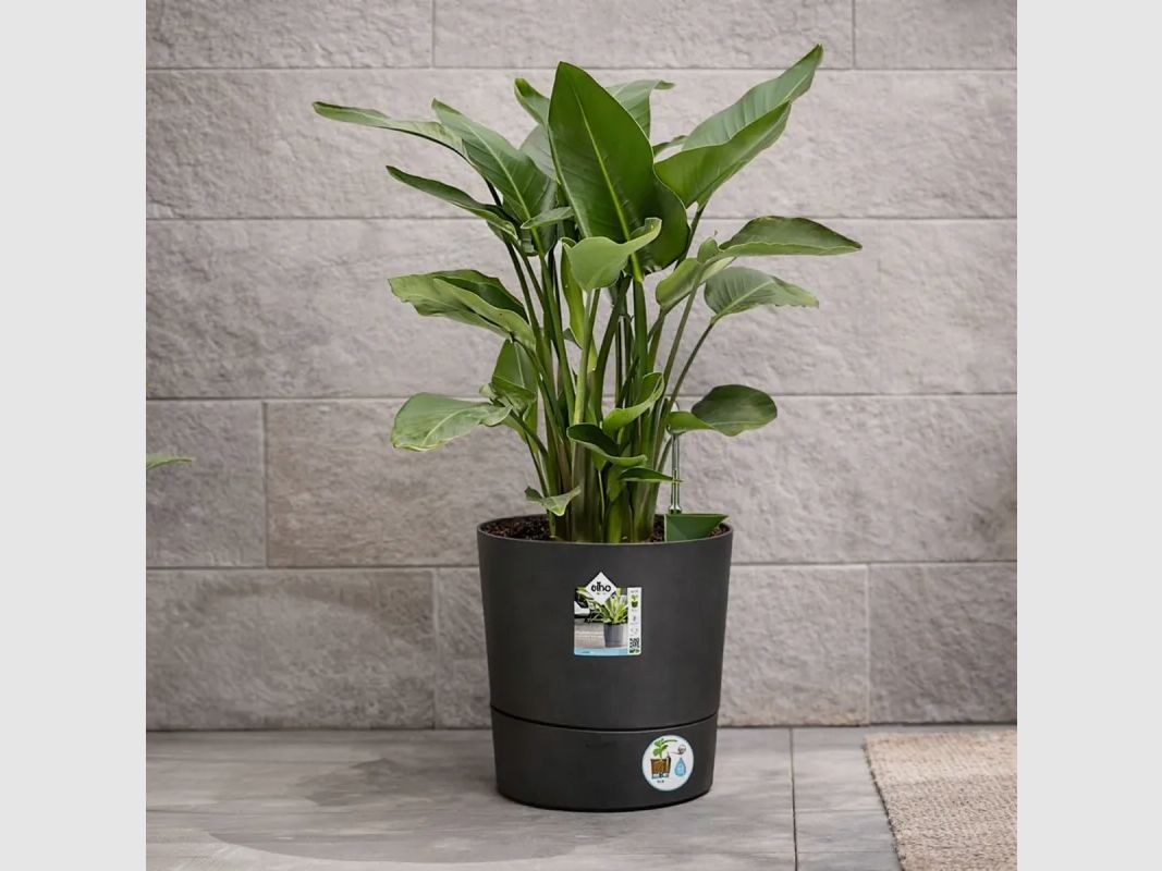 Blumentopf Ø43xH43cm anthrazit Elho® aus recyceltem Kunststoff, Bild 1 von 6