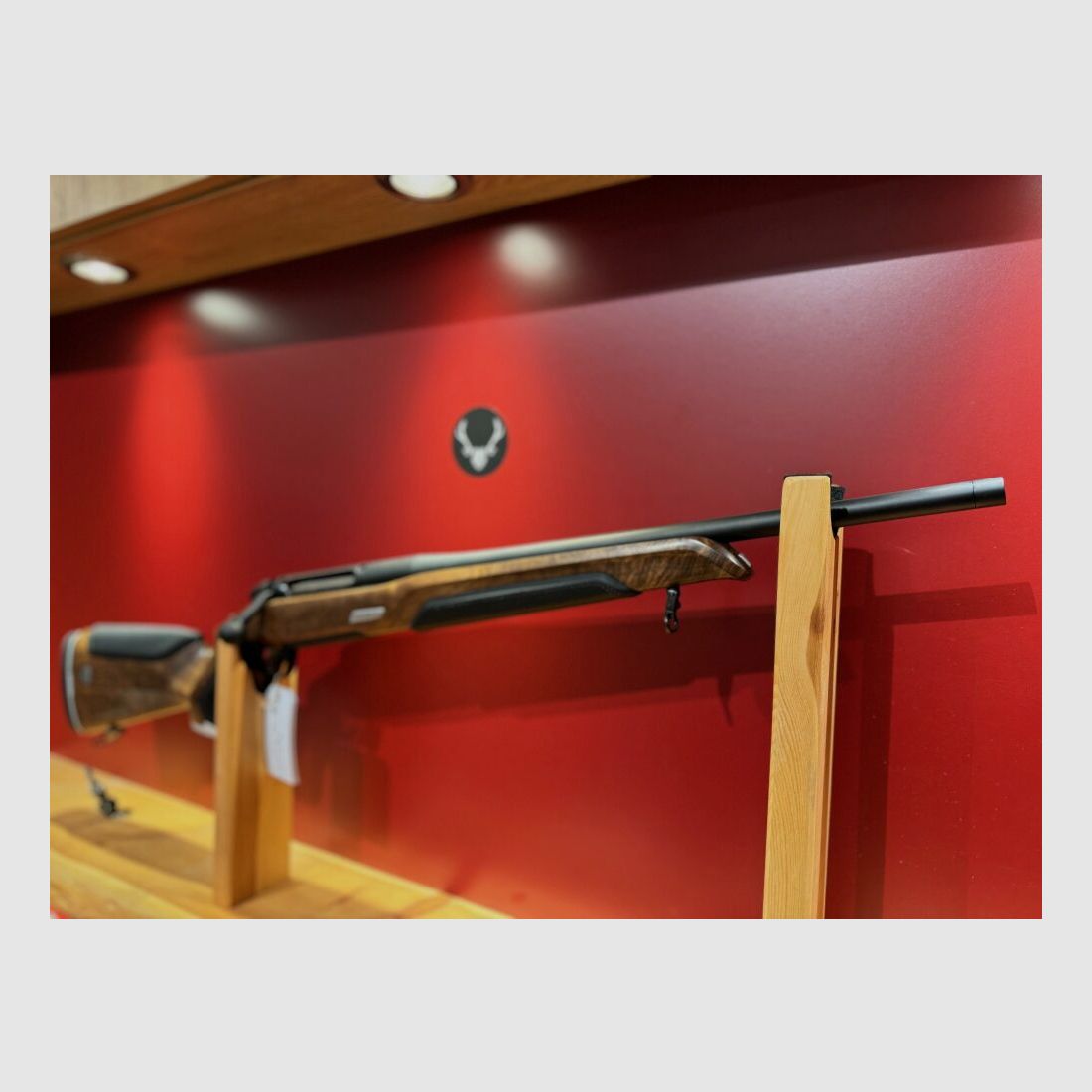 Steyr Arms Monobloc