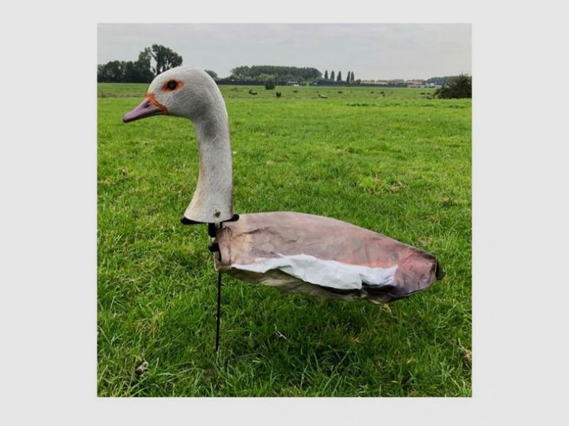 Windecoy Nilgans mit Kopf 10 Stk., Bild 1 von 4
