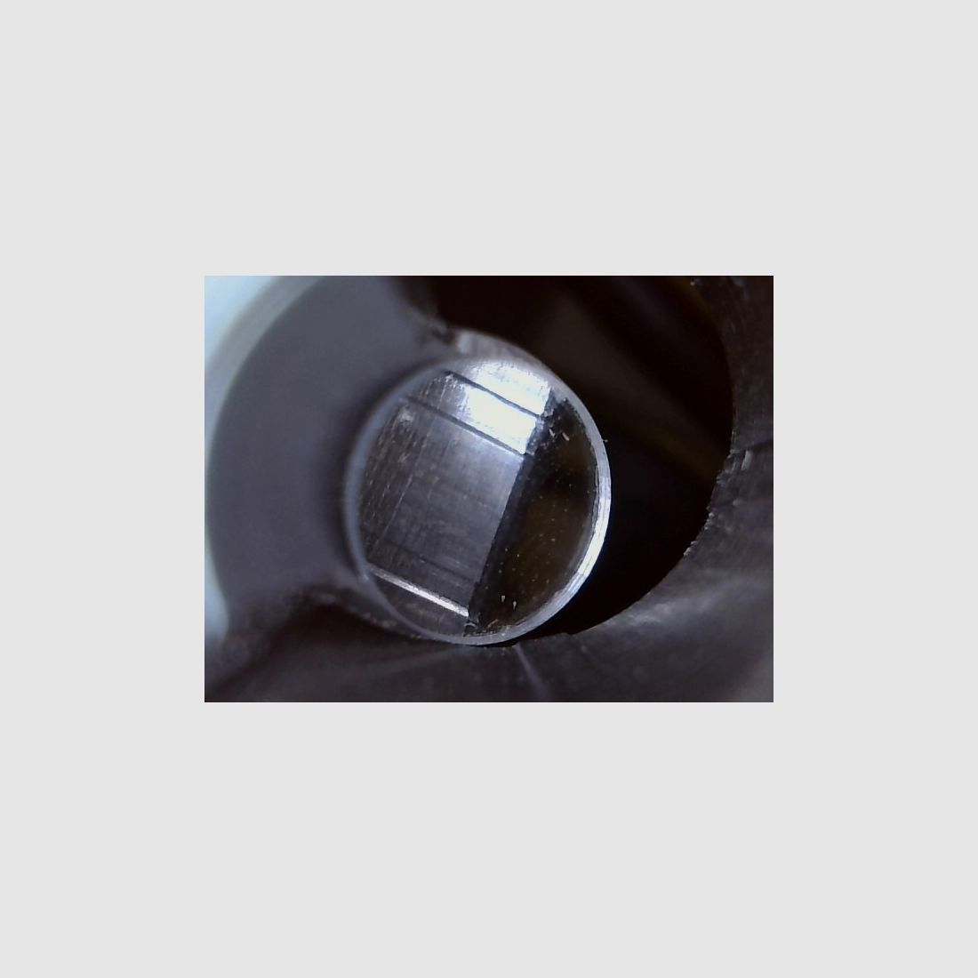 Ruger American Magnum Rifle .300 WinMag, die unzickige mit etwas Bumms, Drückjagd, Longrange