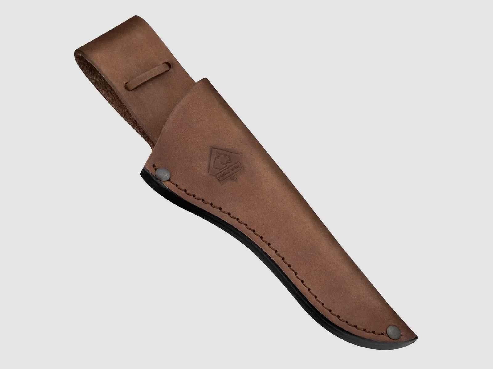 PUMA SGB teton, Hirschhorn, Bild 4 von 5