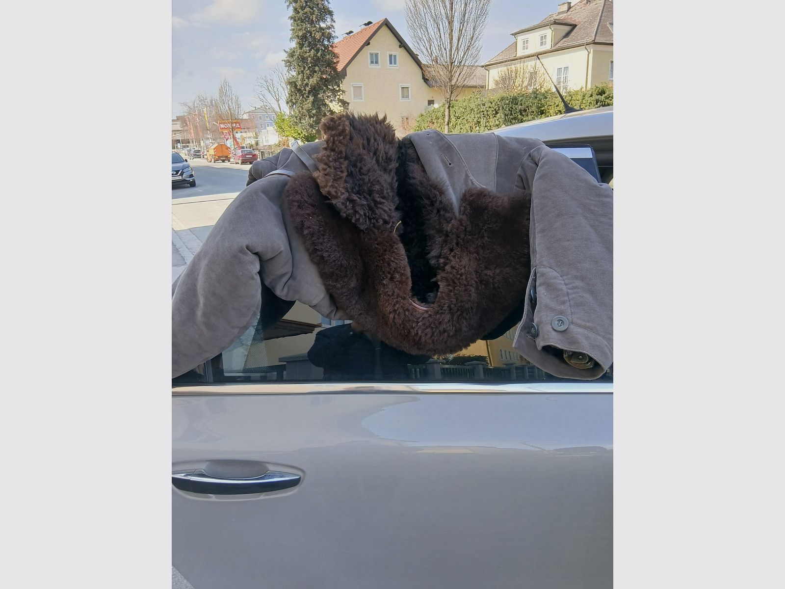 Luftwaffe fur, image 8 of 9