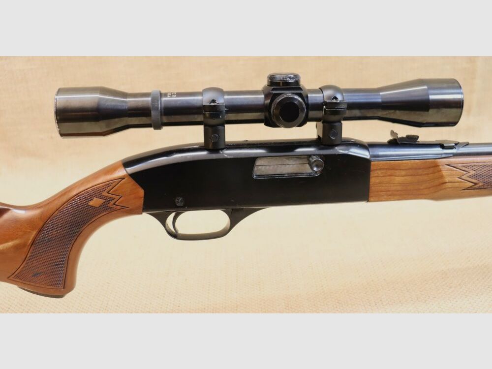 Fucile semiautomatico Winchester 290 .22lr