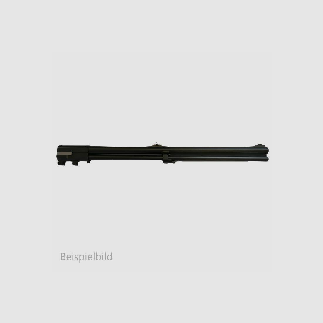 Blaser WL 95