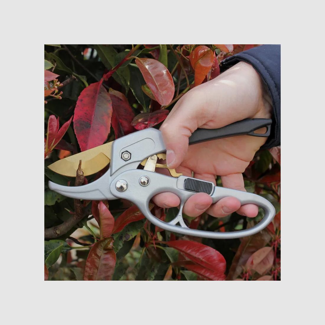 Sécateur titanium à crémaillère, image 2 sur 3