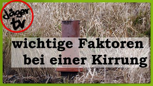 wichtige Faktoren bei einer Kirrung