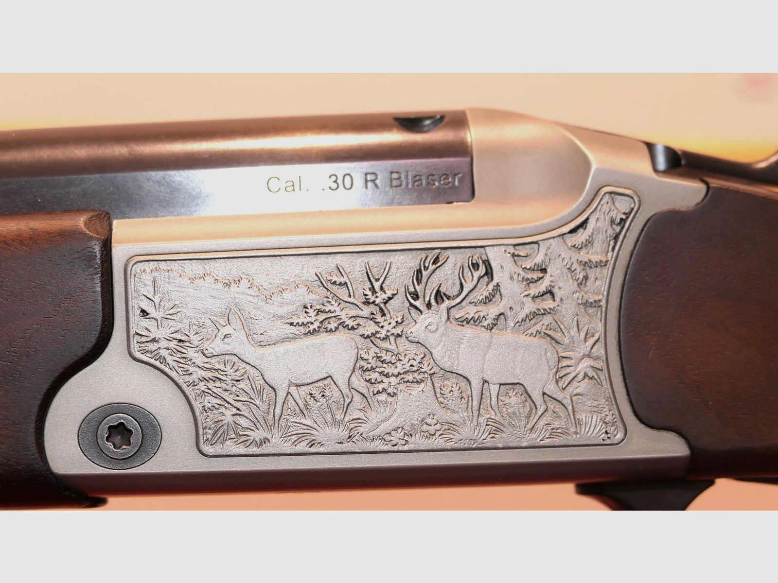Bockbüchse Blaser B97 Luxe Kal. 30R Blaser - gebraucht, Bild 10 von 14