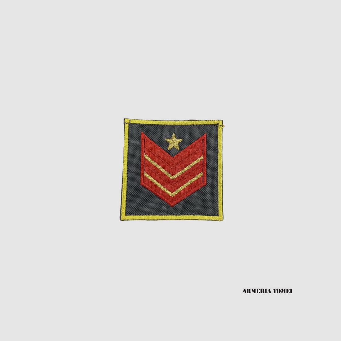 GUARDIA DI FINANZA – RANK SCRATCH APPOINTED SELECTED SPECIAL QUALIFICATION