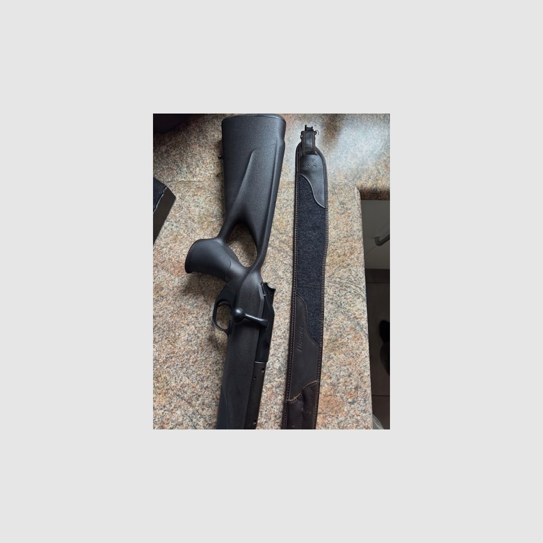 Blaser R8 Professional Success