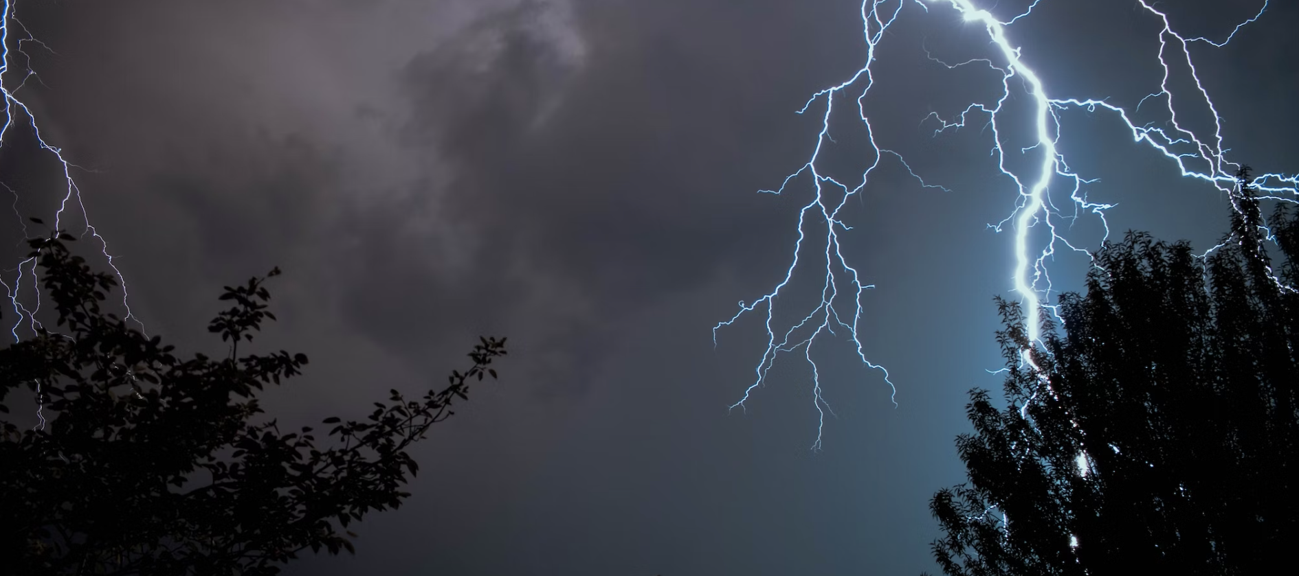 Chasser par mauvais temps - voici ce qu'il faut prendre en compte.