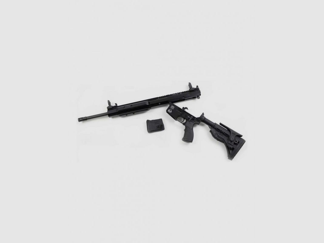 Vorderschaftrepetierer ISSC PAR Delta - 222 Rem., Bild 3 von 3