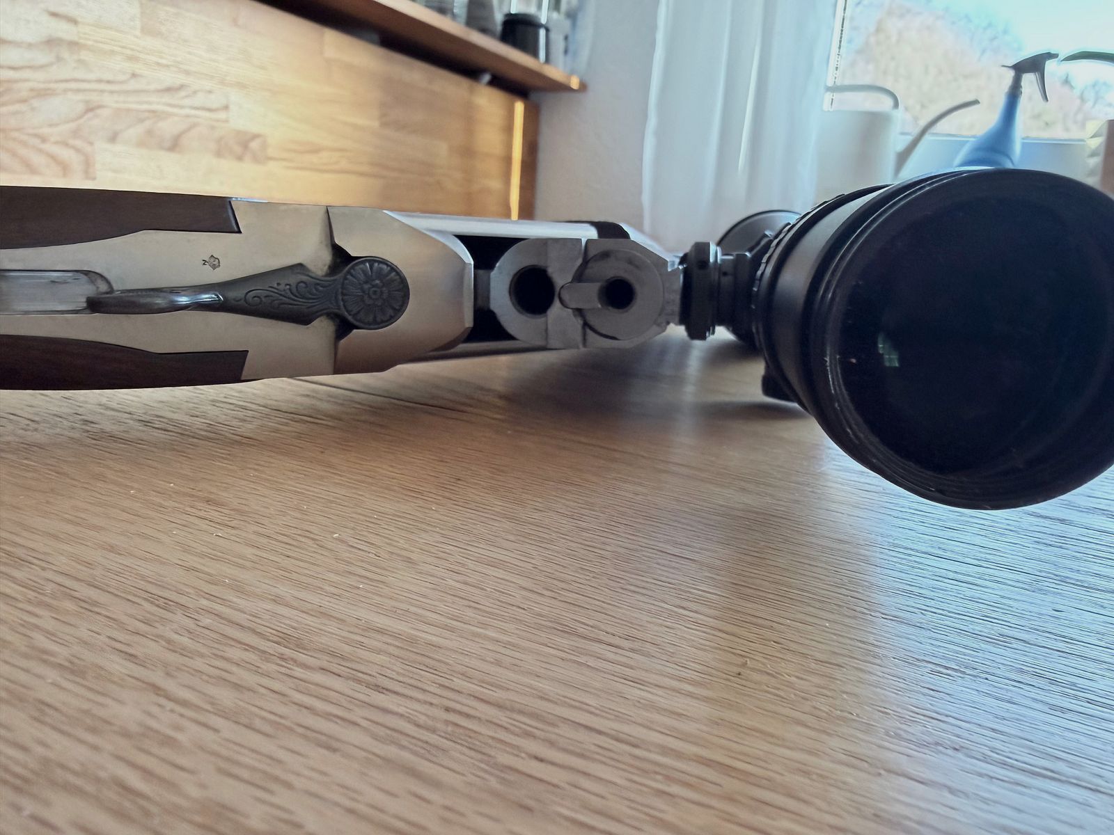 Blaser ES67 nei calibri 7x65R e 12/70 ESL 22 Hornet Meopta Meostar R1. 3-10X50