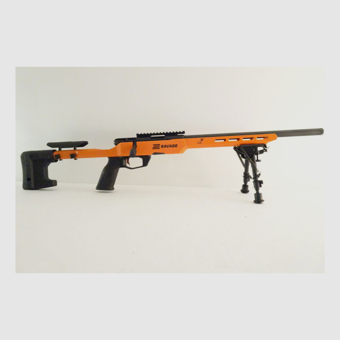 Savage B22