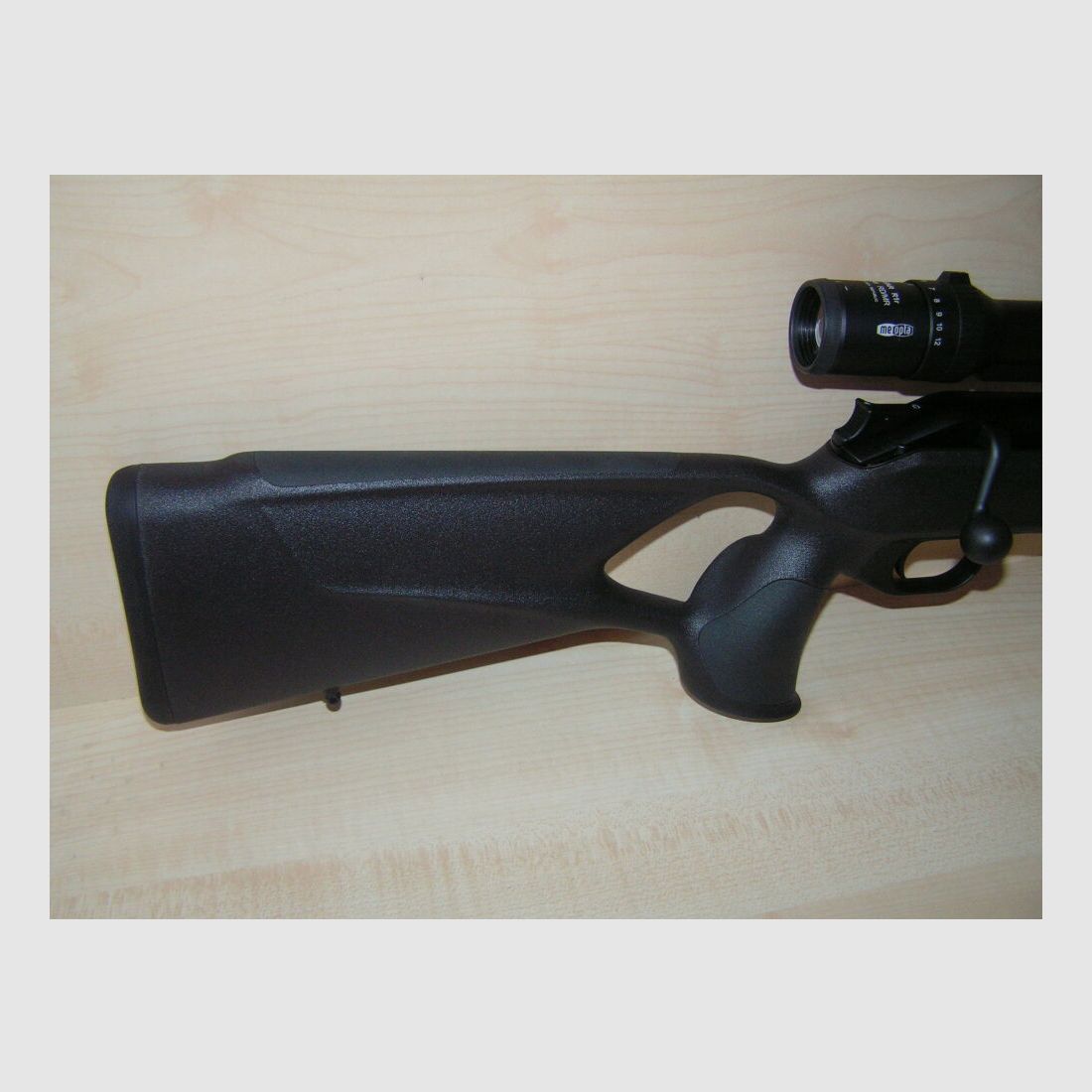 Blaser Professional Success