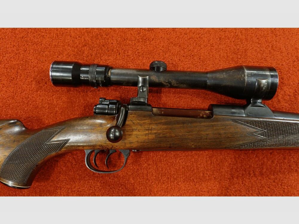 Forest Favorite without 7x64