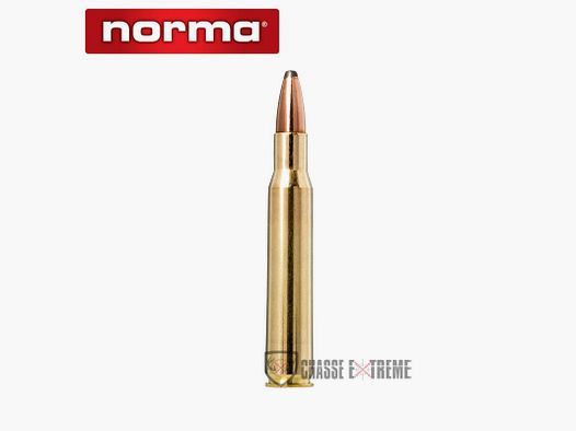20 Cartridges NORMA Ctg cal 30-06 Sprg 150gr Whitetail