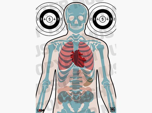 Anatomie Target DIN A1 – Detaillierte Zielscheibe für präzises Training von B...