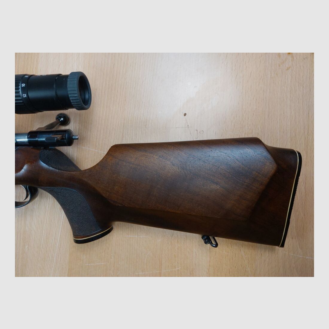 Anschütz, Ulm DJV Match de Chasse