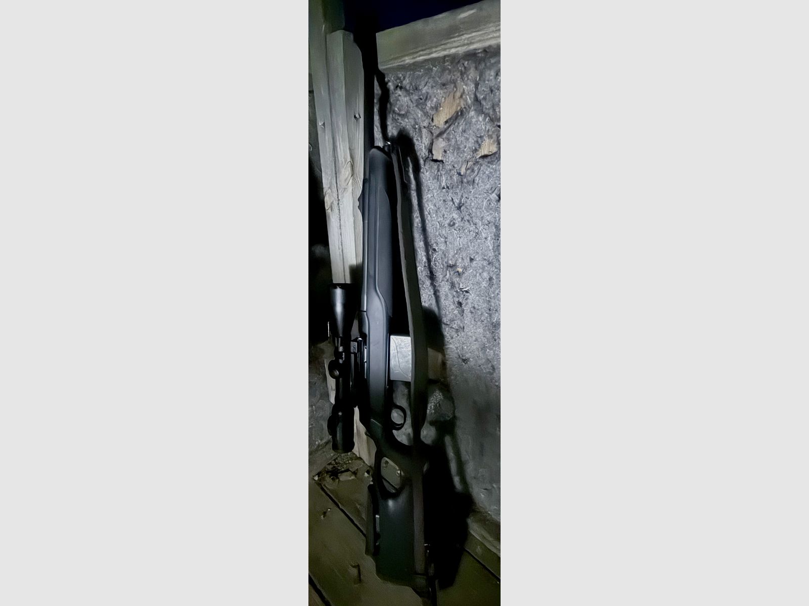 Sauer 303 in 30.06