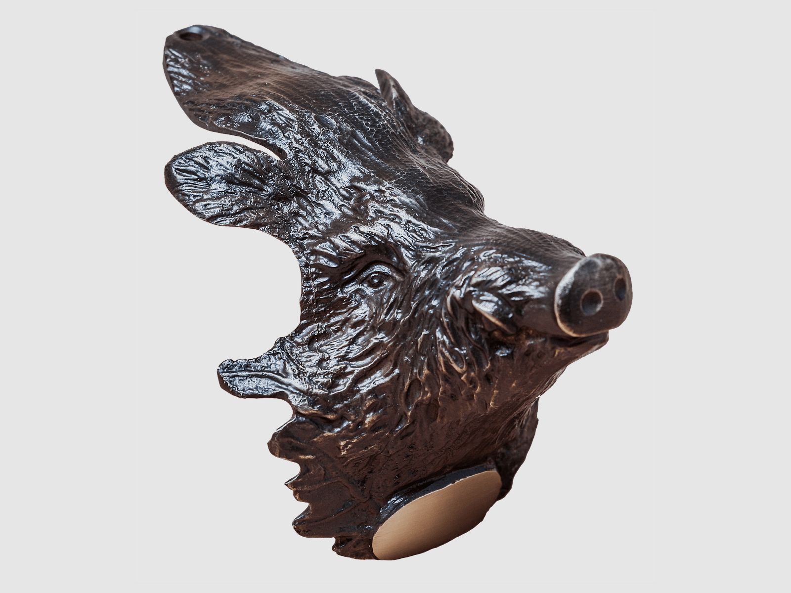 5etta Wild Boar Head made of Brass