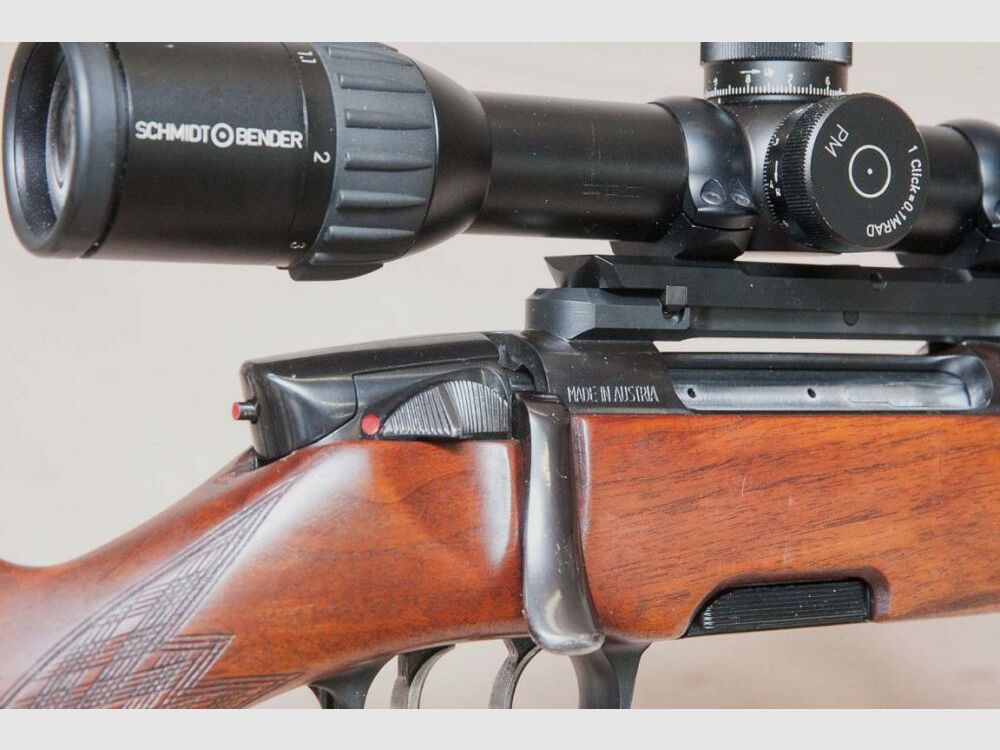 Steyr Mannlicher Stutzen M con montaje Dentler