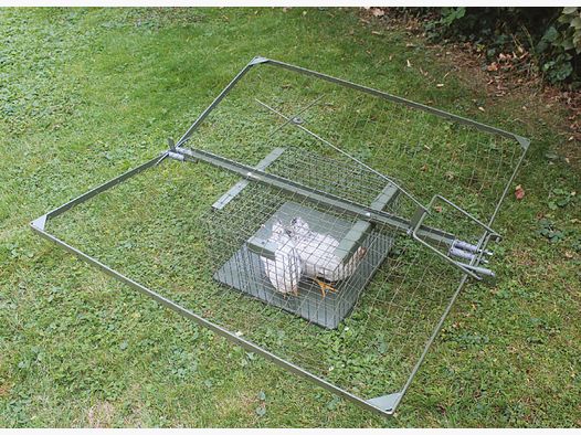 Hawk trapping basket Mod. D