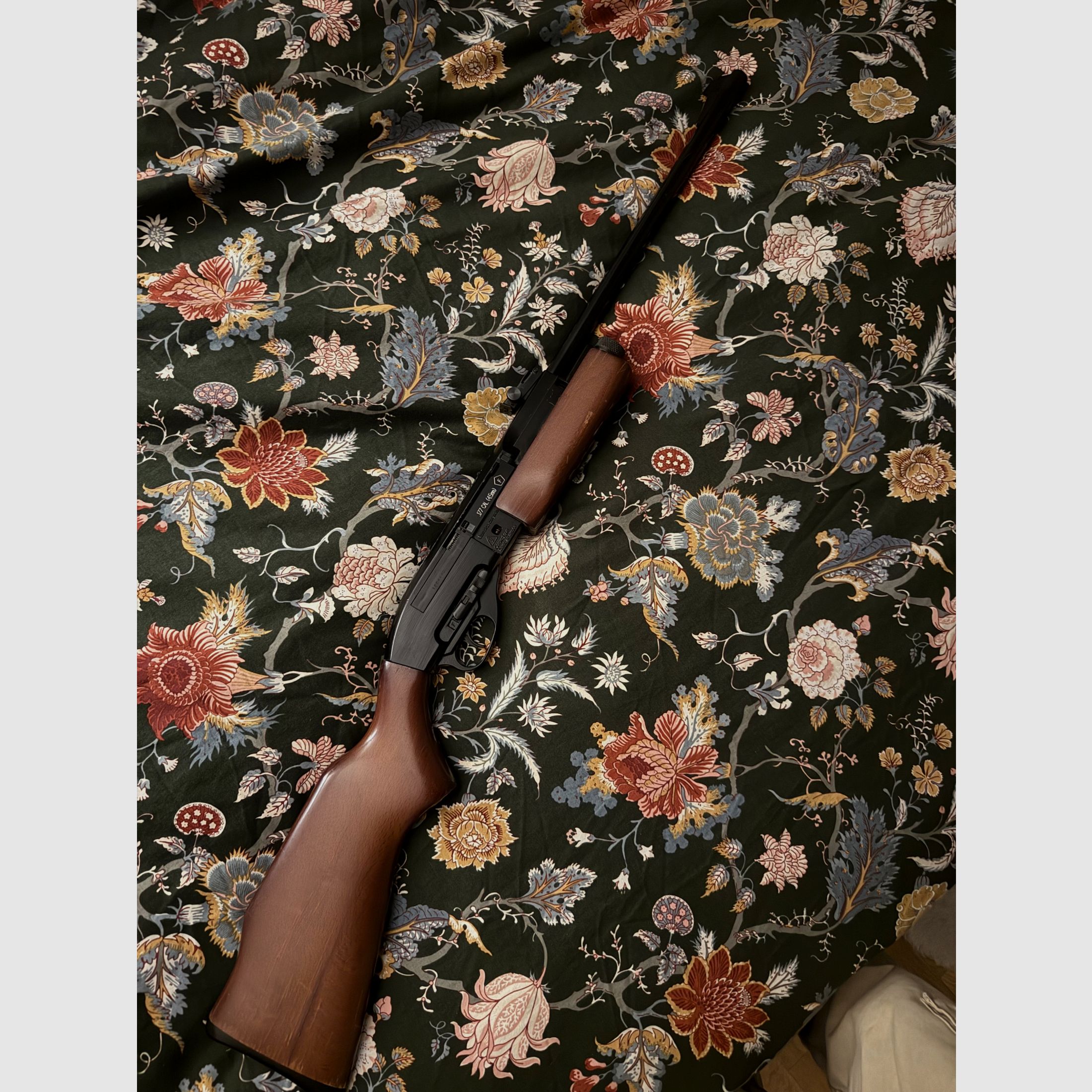 Gamo 1200 Luftgewehr mehrschüssig Pump-Action, Bild 1 von 4