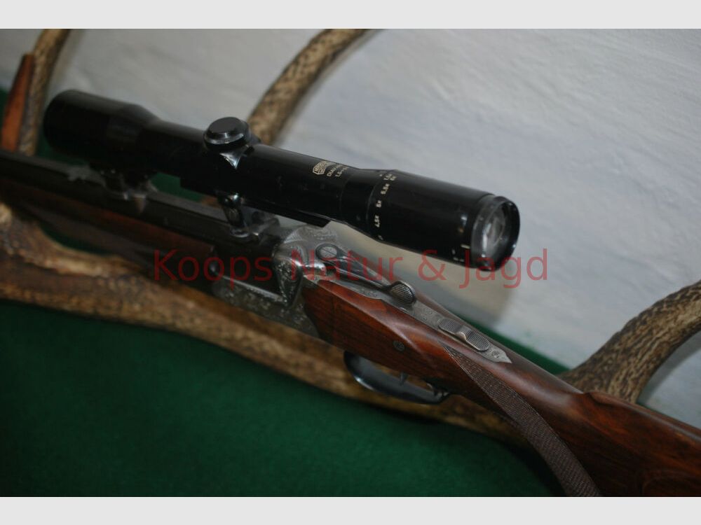 Sauer & Sohn 54