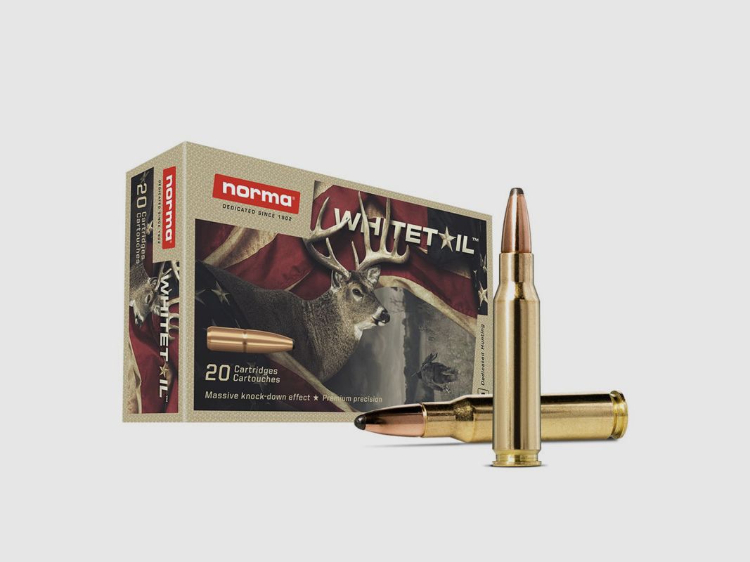 MUNITIONS BALLES NORMA 30-06 WHITETAIL 20177392