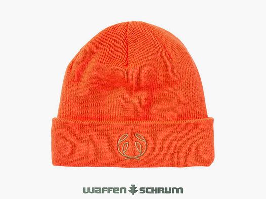 Chevalier Beanie Bristol Infinium Vert Pin