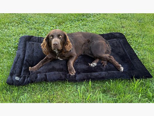 Couverture en velours pour chien