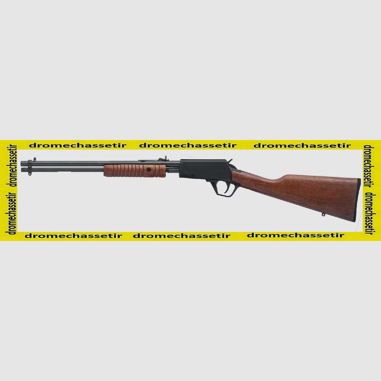 carabine a pompe Rossi Gallery bois cal 22lr, image 2 sur 2