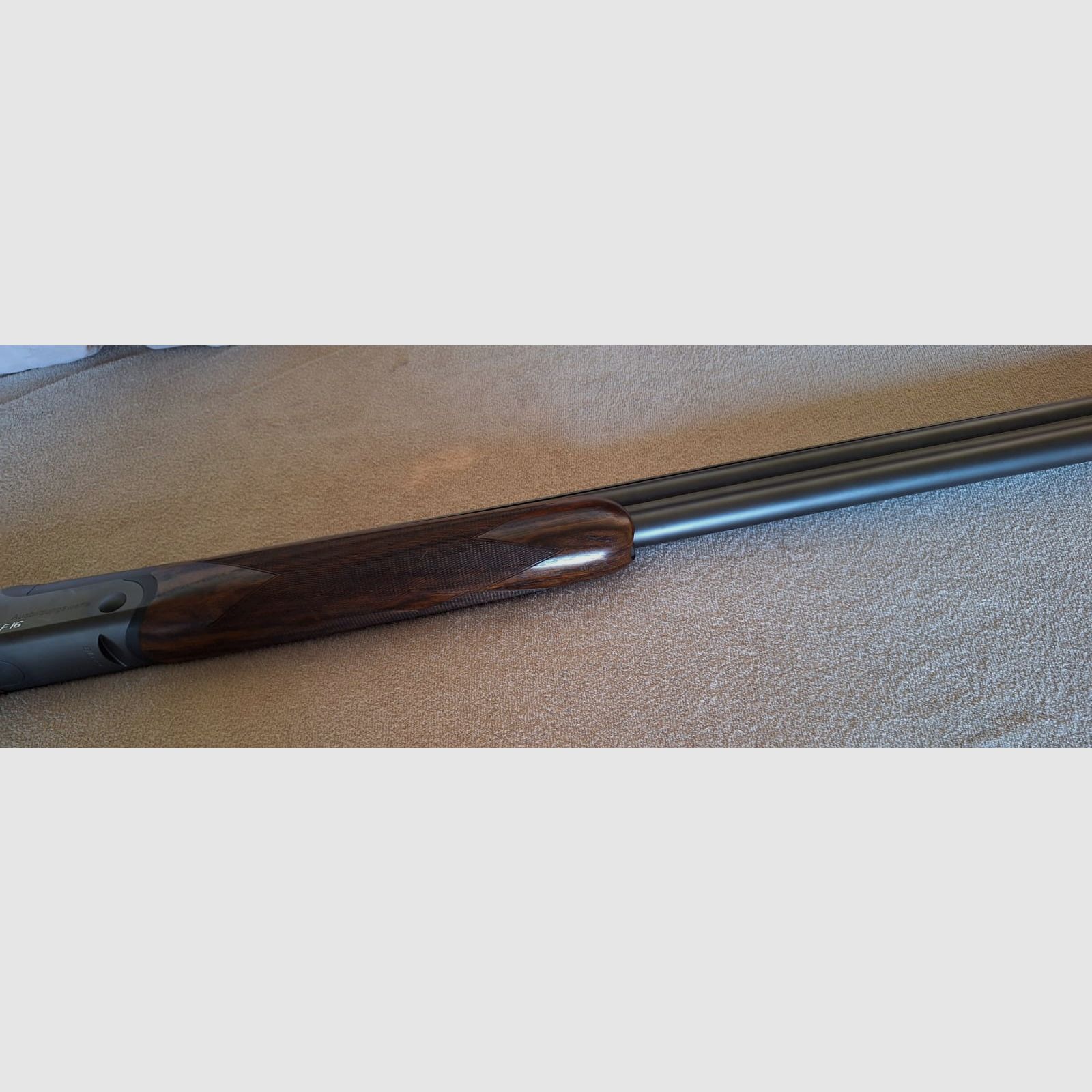 Blaser F 16