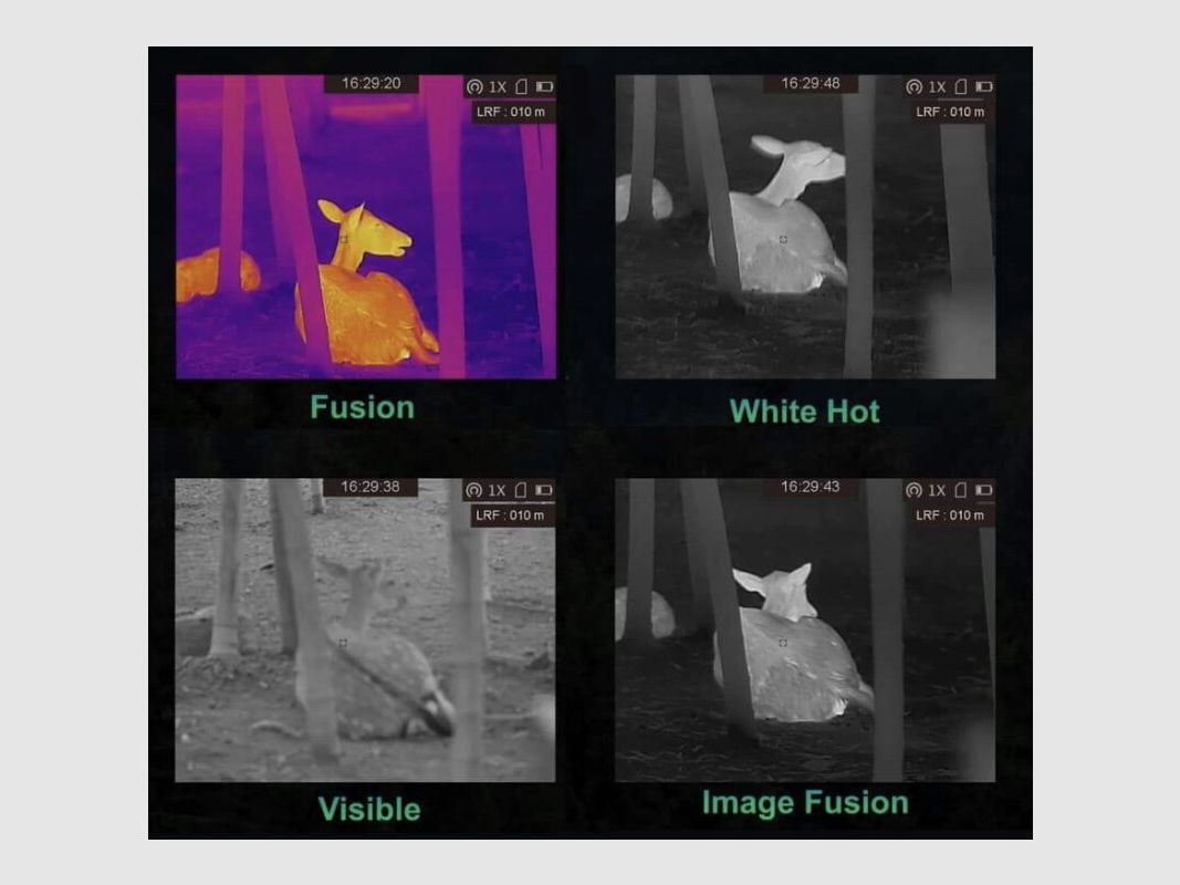 Fusionsgerät Hikmicro Gryphon GH35L LRF