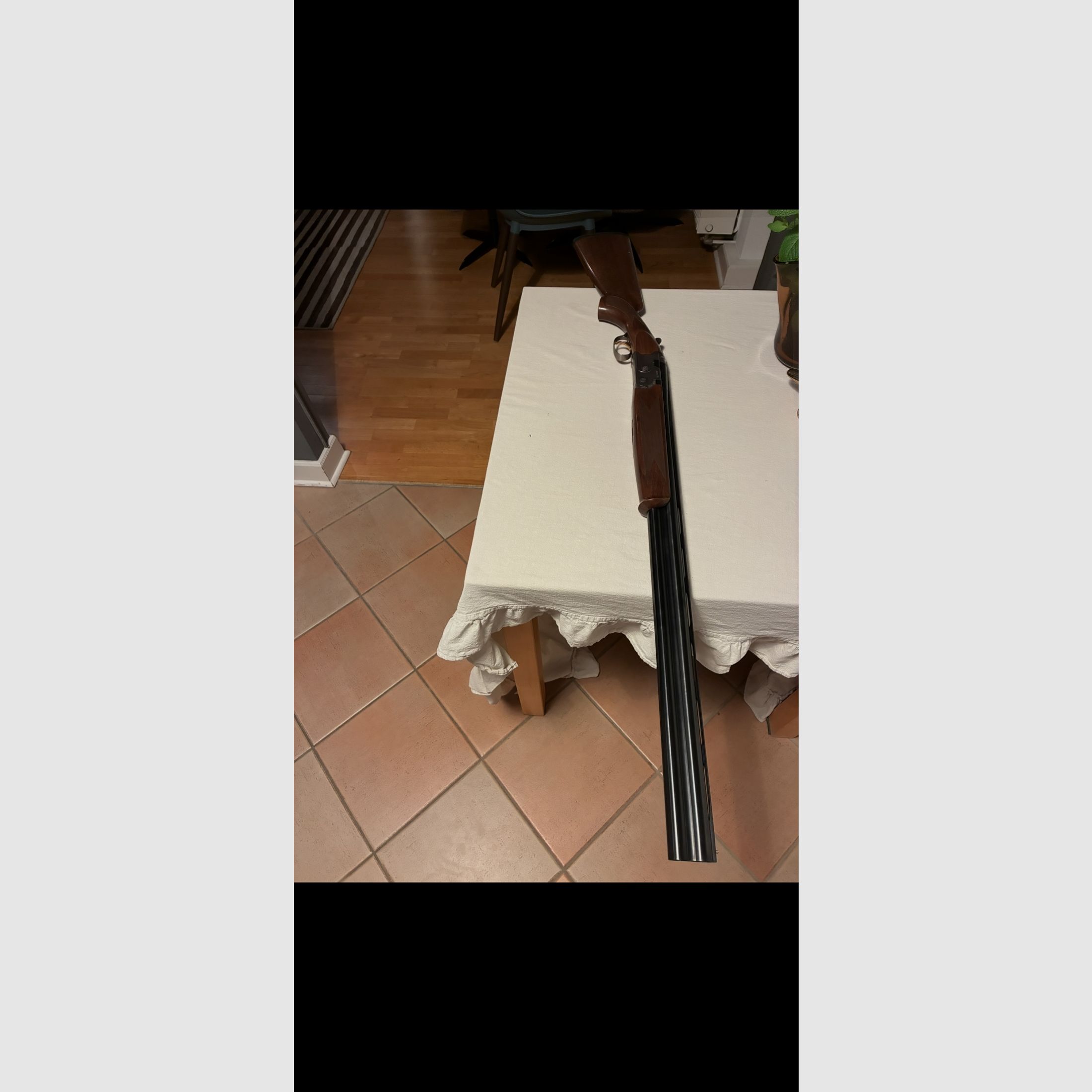 Beretta Bockdoppelflinte Kal. 12/76 686 SilverPigeon 1 Jagd