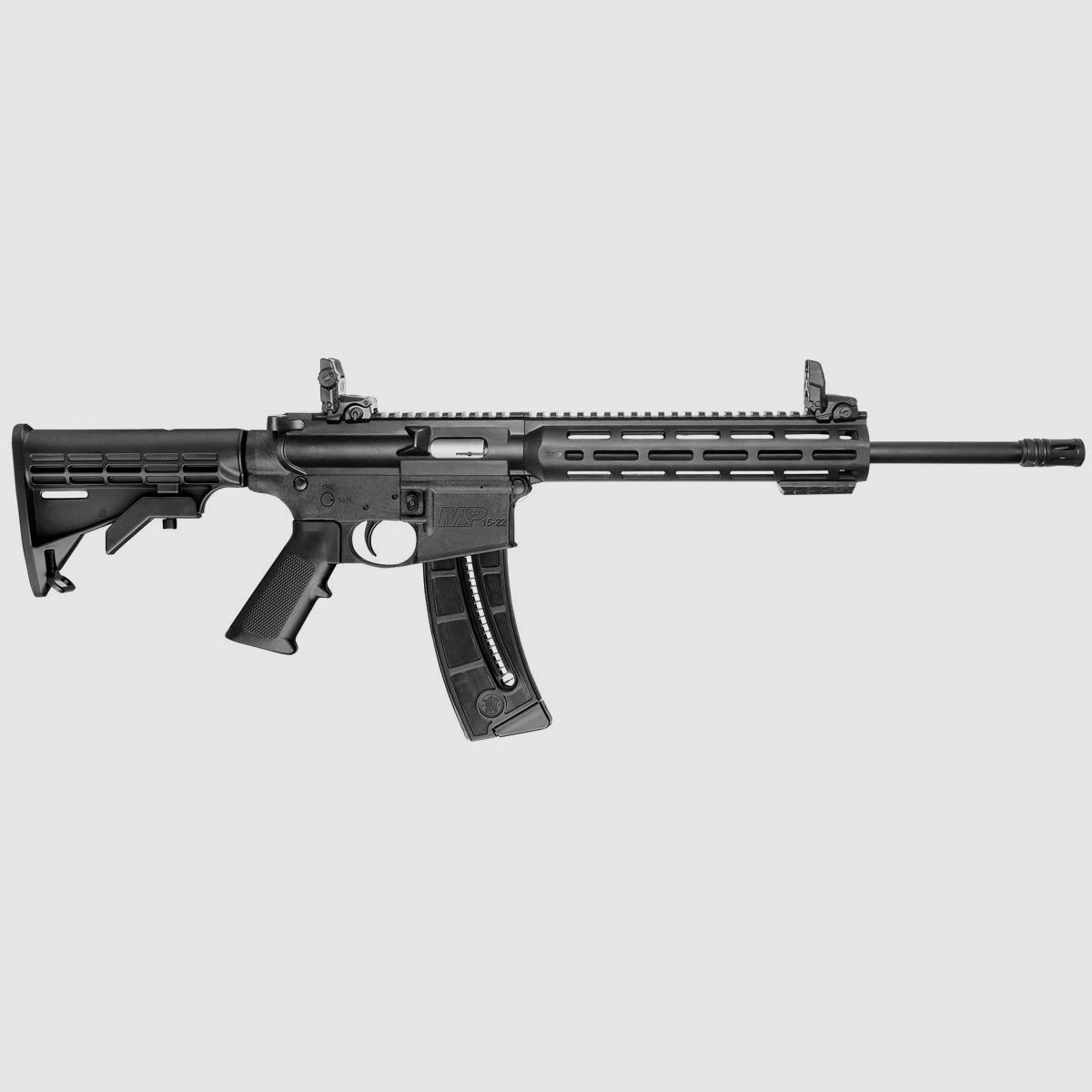 Karabina samopowtarzalna Smith & Wesson M&P15-22 Sport, zdjęcie 2 z 9