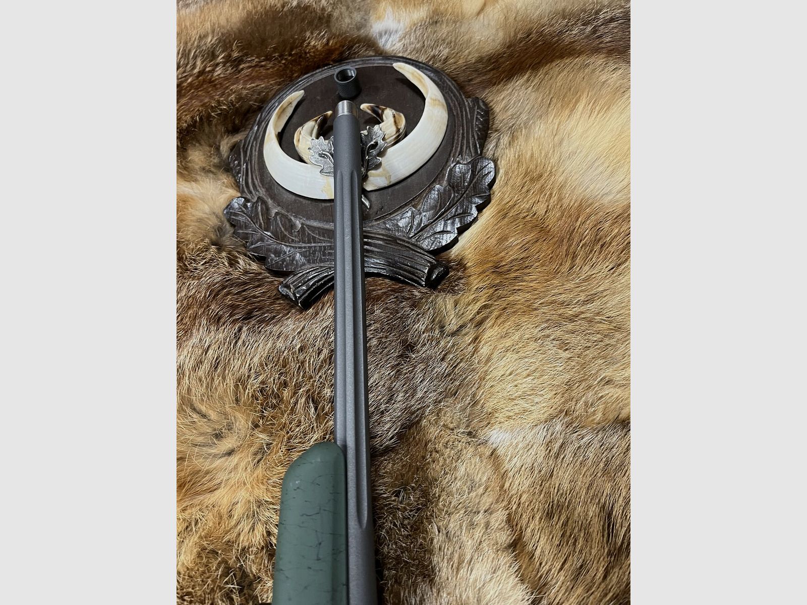 Tikka T3