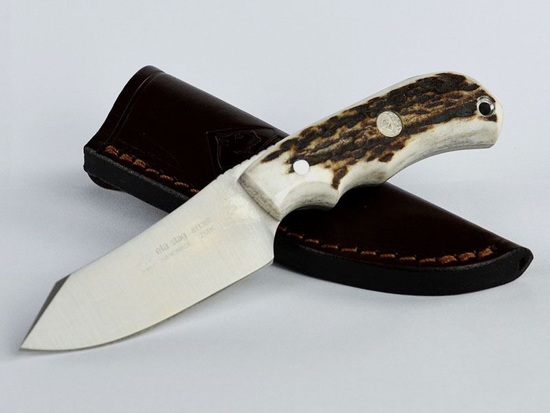 PUMA IP ela stag