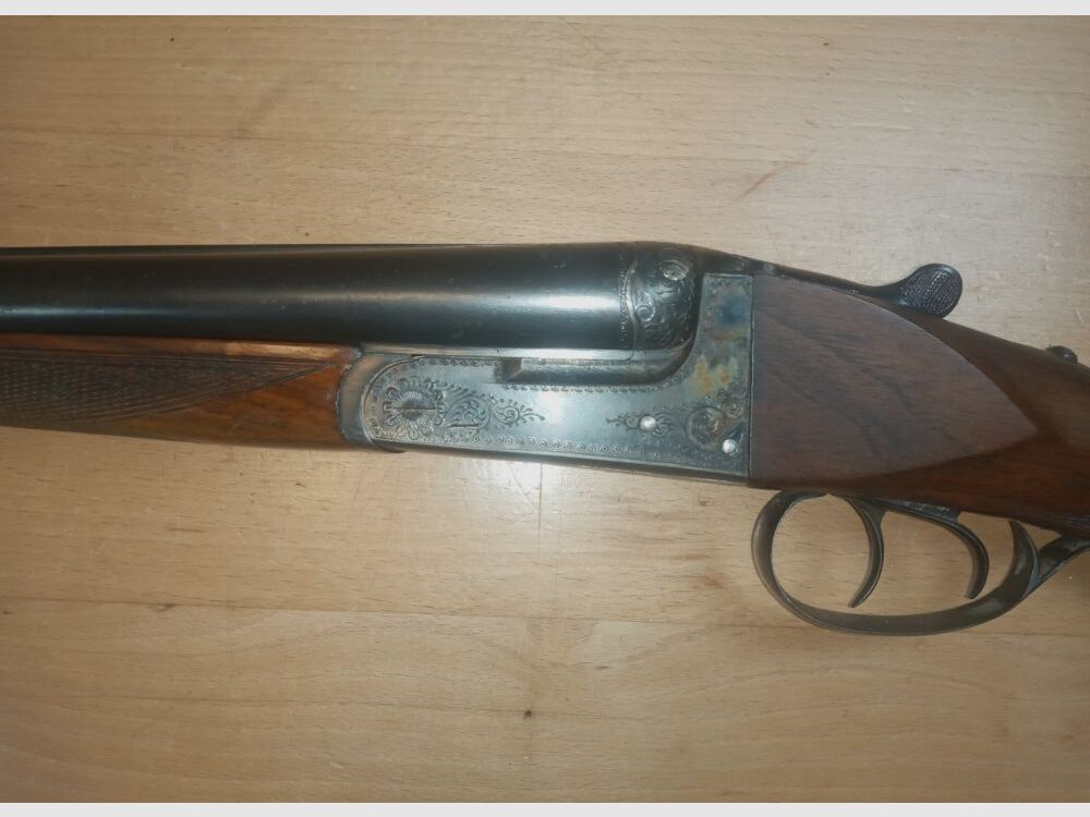 Geco Aigle