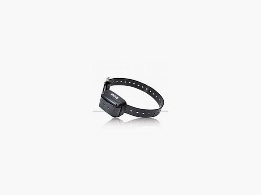 Collier supplémentaire DOGTRACE