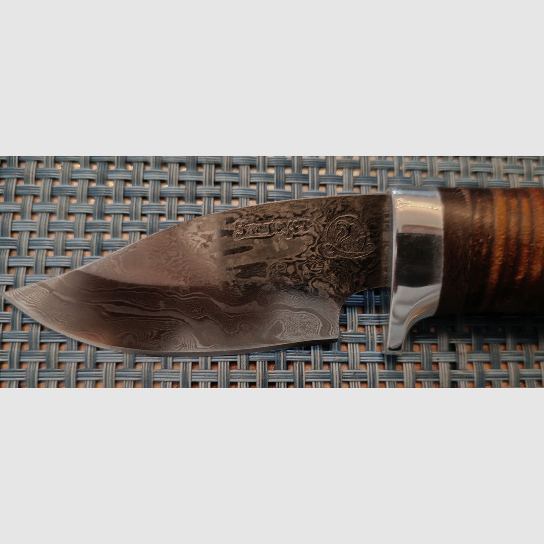 Zlatoust Damas Coltello da Caccia Coltello da Pescatore