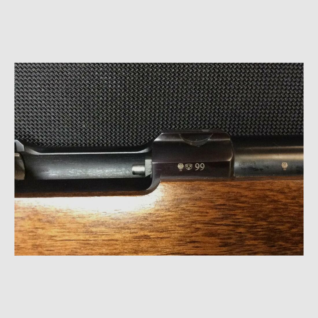 Ruger 77/50 .50(BlackPowder)