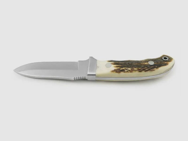 PUMA IP ebro, stag