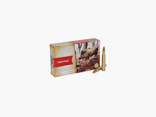NORMA PPDC 300Win Mag 180gr