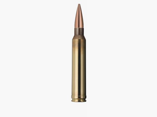 Geco .300 WinMag Target HP 190grs / 12,3g