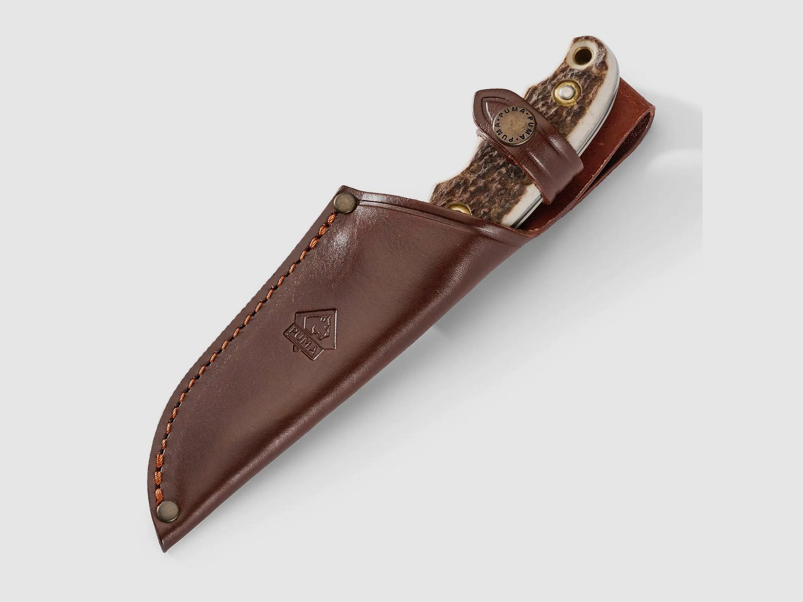 PUMA saubart, FAOS-Edition