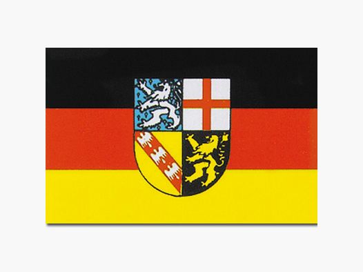 Diverse Flagge Saarland