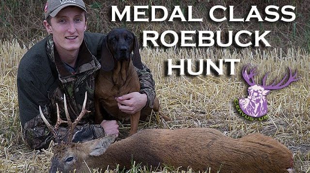 RUT-TIME MEDAL CLASS ROEBUCK