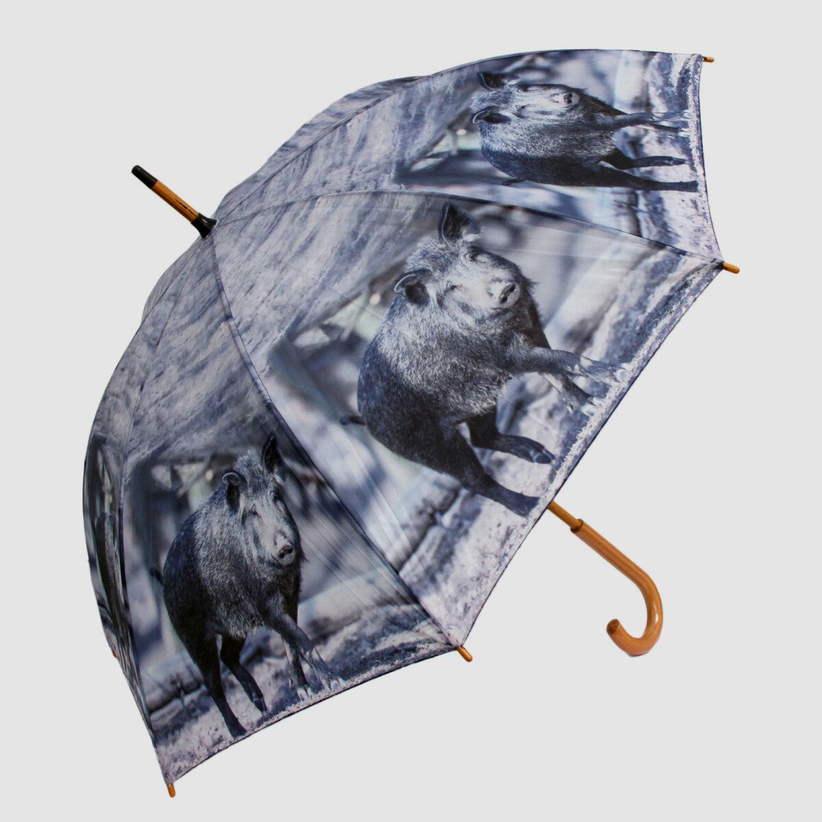 Umbrella pigs