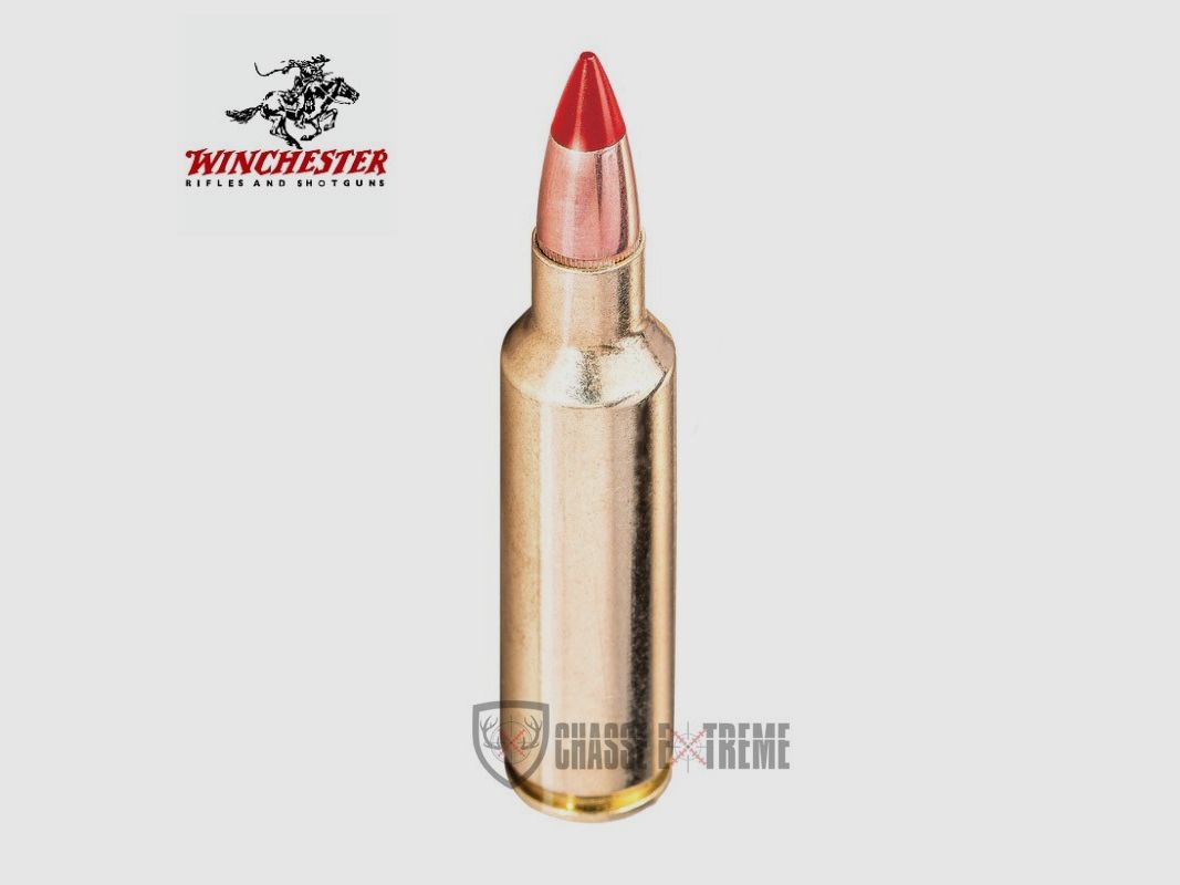 20 Patronen WINCHESTER Kal. 243 Win 85gr Extreme Point Copper Impact, Bild 2 von 4